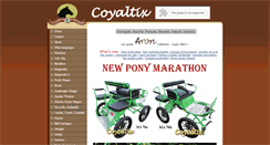 Desktop Screenshot of coyaltix.com